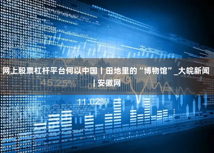 网上股票杠杆平台何以中国丨田地里的“博物馆”_大皖新闻 | 安徽网