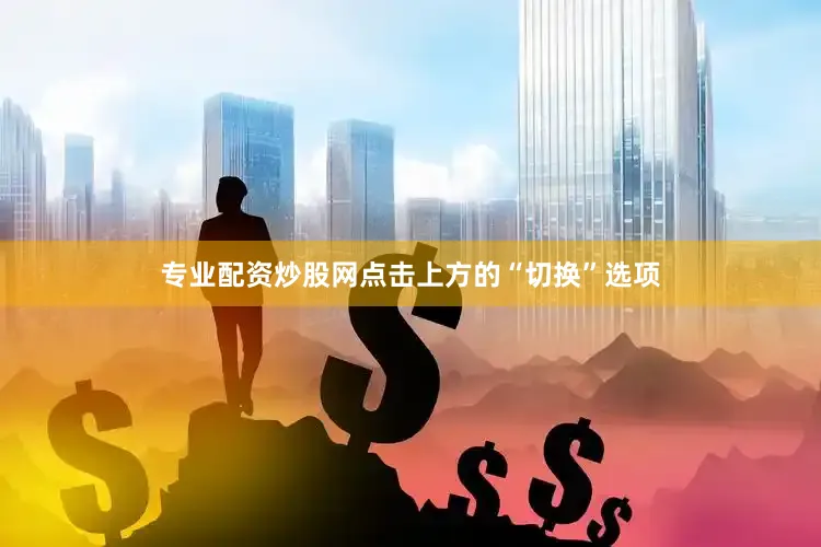 专业配资炒股网点击上方的“切换”选项