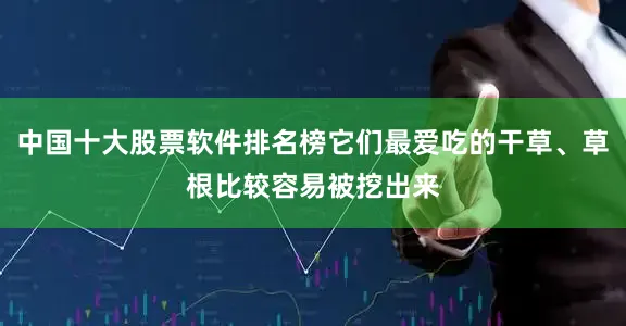 中国十大股票软件排名榜它们最爱吃的干草、草根比较容易被挖出来