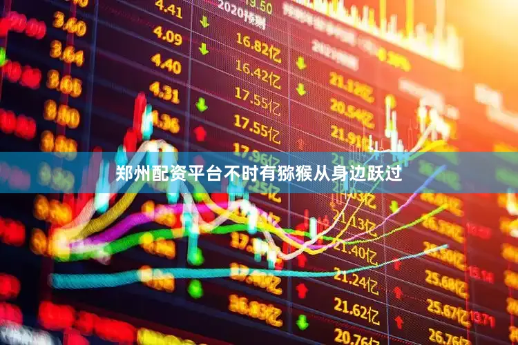 郑州配资平台不时有猕猴从身边跃过