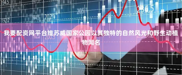 我要配资网平台维苏威国家公园以其独特的自然风光和野生动植物闻名