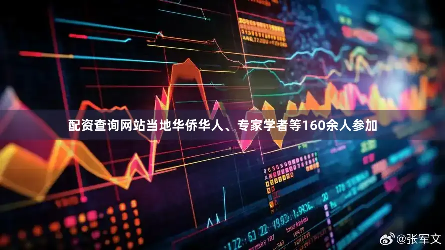 配资查询网站当地华侨华人、专家学者等160余人参加